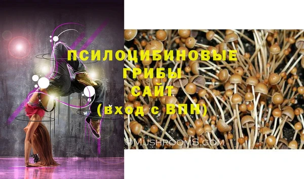 герыч Алексеевка