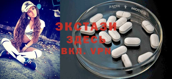 индика Краснотурьинск