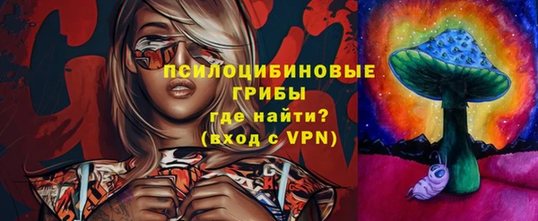 амф Алексин