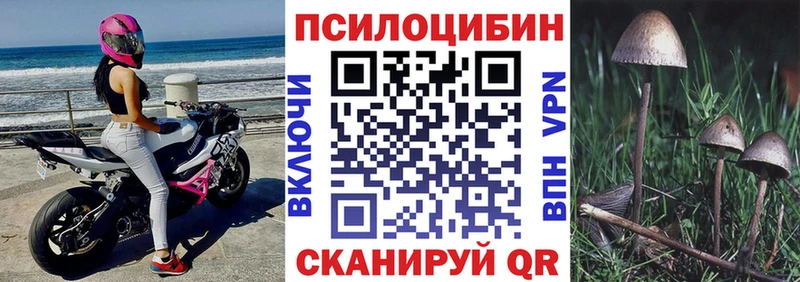 Галлюциногенные грибы Psilocybine cubensis  OMG tor  Абакан 