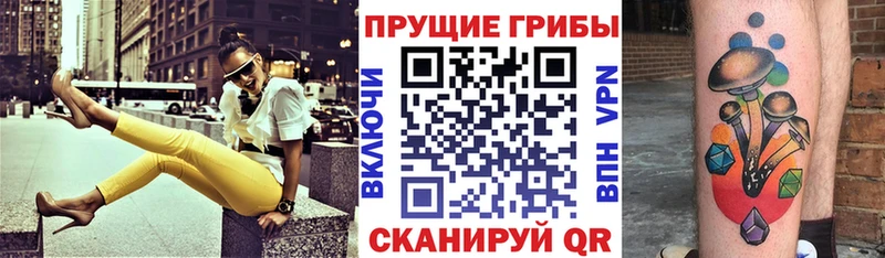Псилоцибиновые грибы прущие грибы Абакан